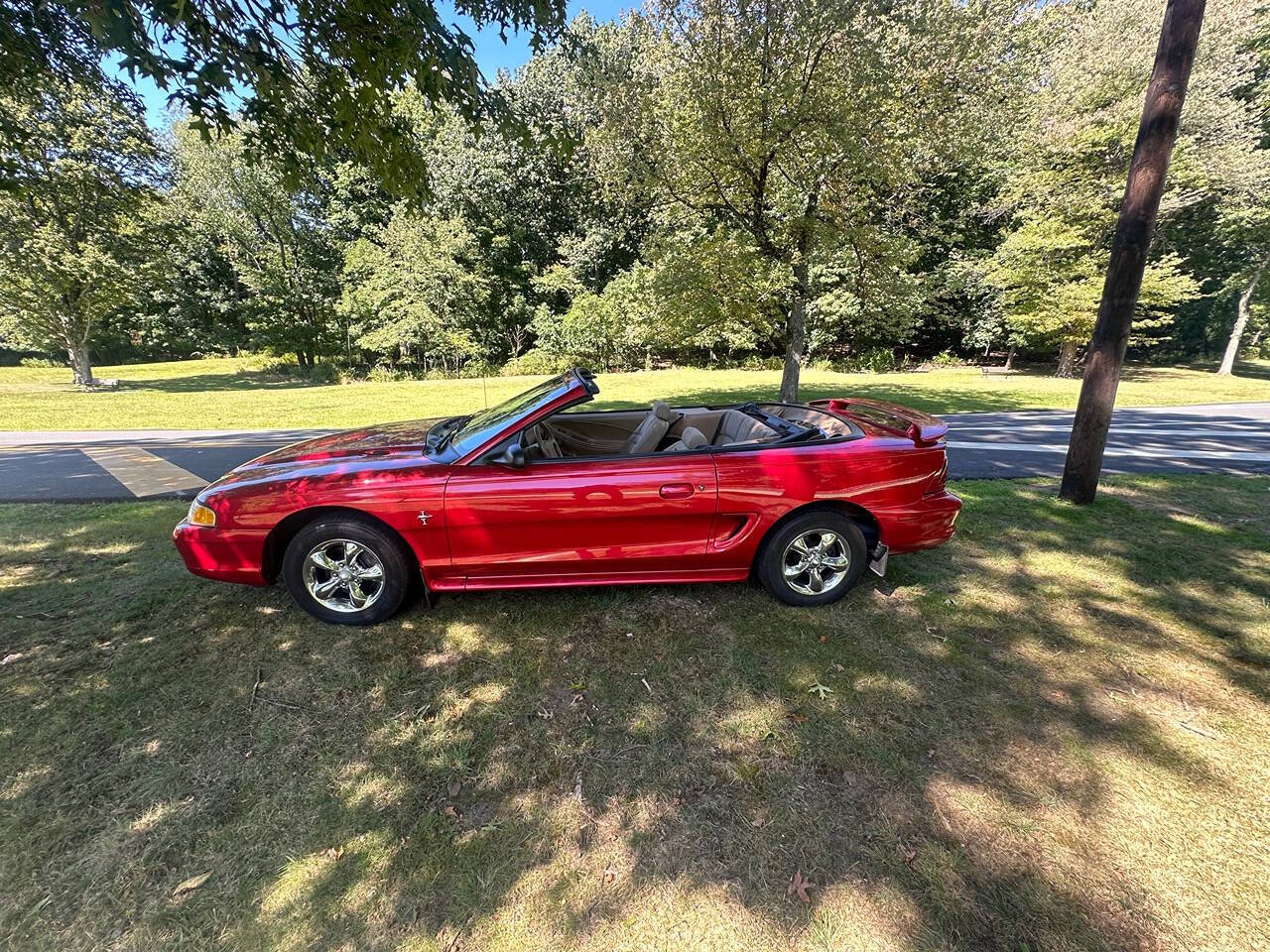 1998 Ford Mustang for sale at Froggy Cars LLC in Hamburg, NJ