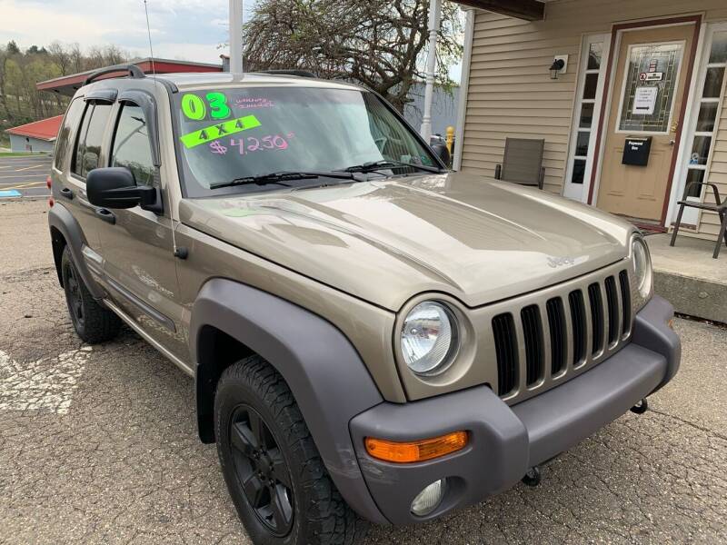 2003 Jeep Liberty for sale at G & G Auto Sales in Steubenville OH