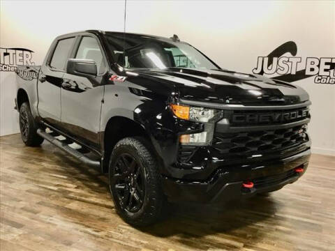 2023 Chevrolet Silverado 1500 for sale at Cole Chevy Pre-Owned in Bluefield WV