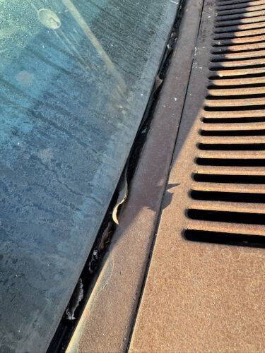 1966 Chevrolet El Camino