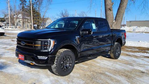 2023 Ford F-150 for sale at Union Auto in Union IA
