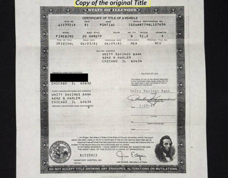 1981 Pontiac Firebird Trans Am