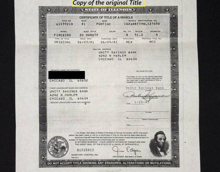 1981 Pontiac Firebird Trans Am