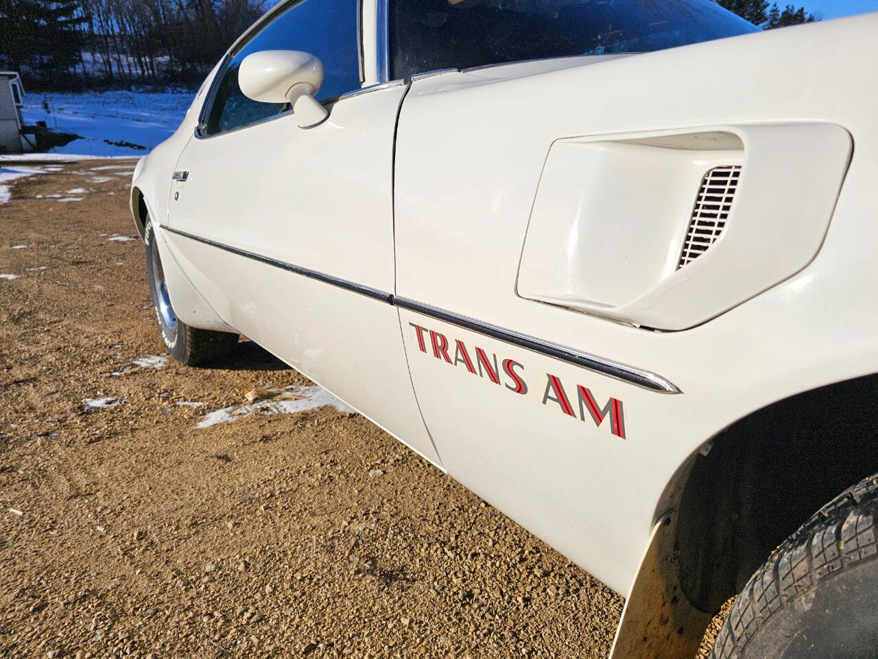 1976 Pontiac Trans Am 89