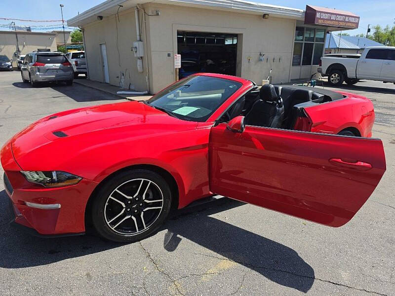 2019 Ford Mustang