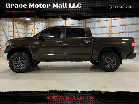2021 Toyota Tundra for sale at Grace Motor Mall LLC in Traverse City MI