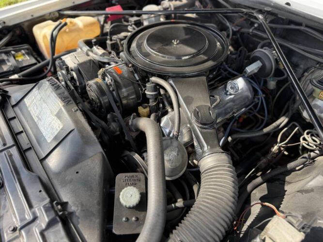 1982 Cadillac Eldorado