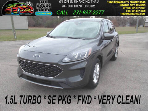 2020 Ford Escape for sale at Tri County Motor Sales in Howard City MI
