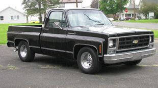 1979 Chevrolet C/K 10 Series