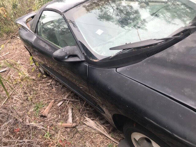 1995 Pontiac Firebird Trans Am