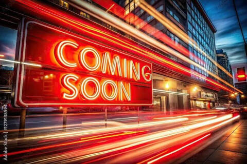 2017 Chevrolet Express LS 2500