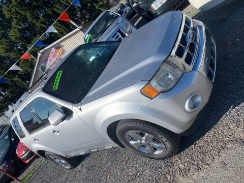 2010 Ford Escape for sale at Trocci's Auto Sales in West Pittsburg PA