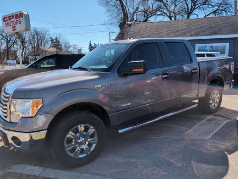 2011 Ford F-150 for sale at CPM Motors Inc in Elgin IL
