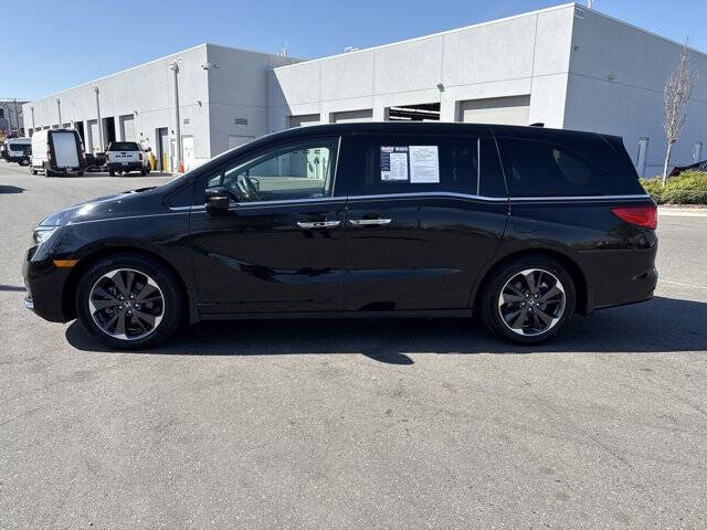 2023 Honda Odyssey Elite