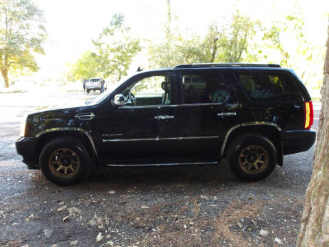 2011 Cadillac Escalade Luxury