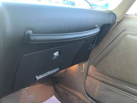 1981 Pontiac Firebird Trans Am