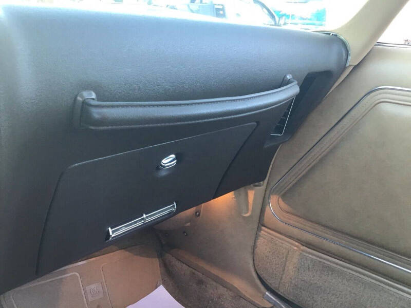 1981 Pontiac Firebird Trans Am