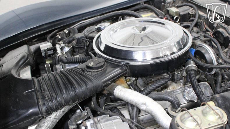 1981 Chevrolet Corvette