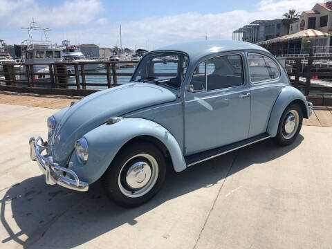 1967 Volkswagen Beetle for sale at Elite Dealer Sales in Costa Mesa CA