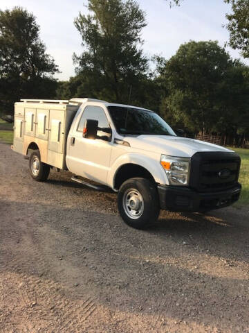 2015 Ford F-250 Super Duty for sale at BARROW MOTORS in Campbell TX