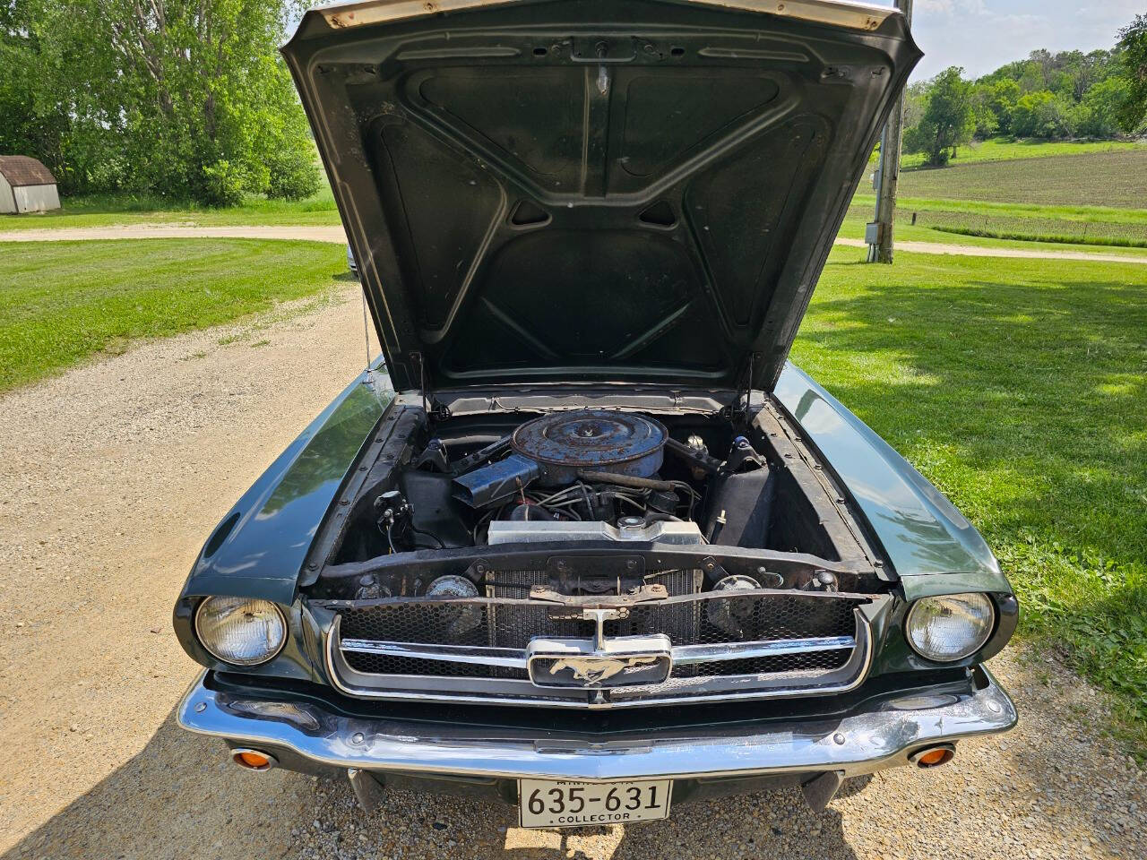 1965 Ford Mustang 168