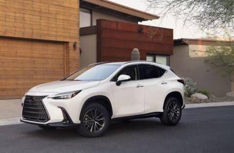 2024 Lexus NX 250 for sale at Diamante Leasing in Brooklyn NY