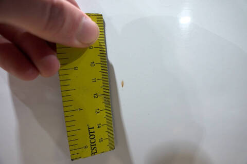 1996 Chevrolet Tahoe LT