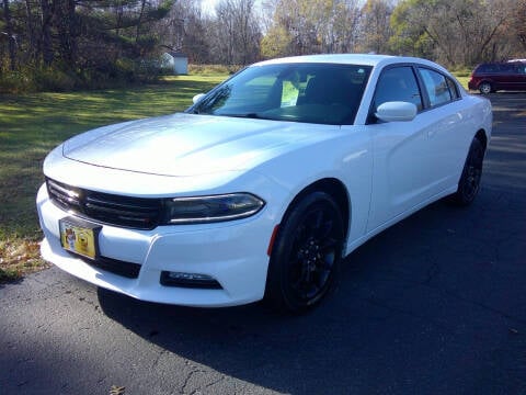 2015 Dodge Charger for sale at American Auto Sales in Forest Lake MN