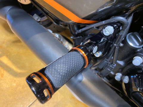 2022 Harley-Davidson Road King® Special