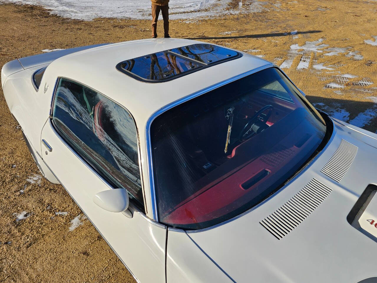 1976 Pontiac Trans Am 263