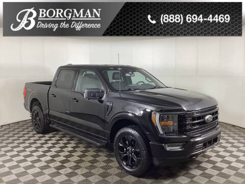 2022 Ford F-150 for sale at BORGMAN OF HOLLAND LLC in Holland MI