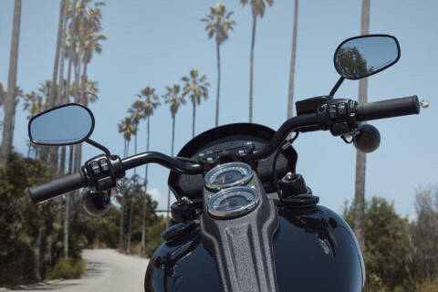 2020 Harley-Davidson Low Rider® S