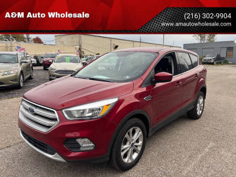 2019 Ford Escape SE