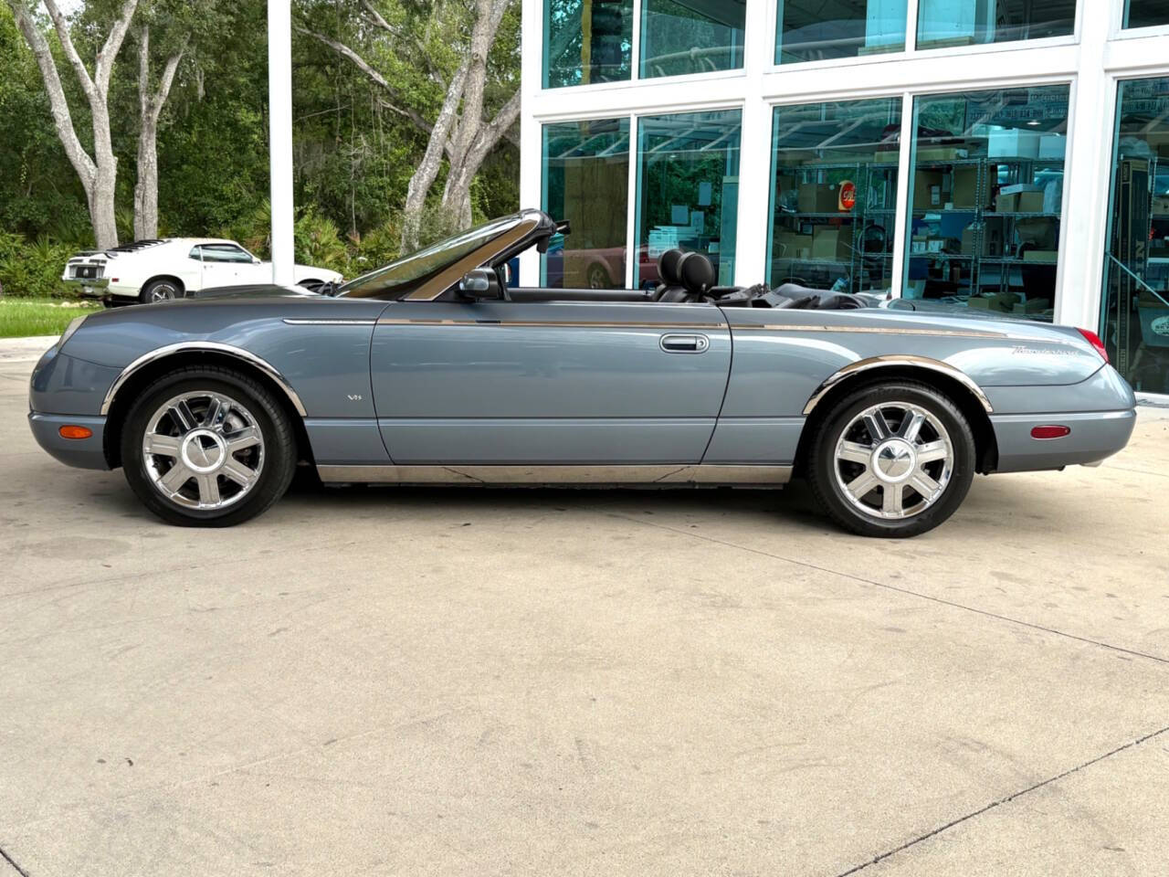 2005 Ford Thunderbird 10