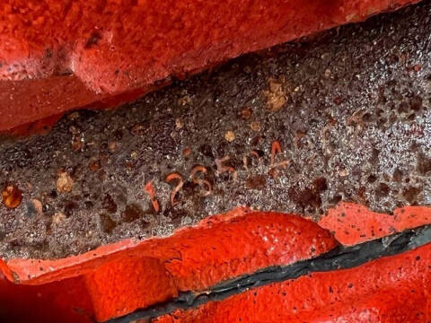 1972 Chevrolet Corvette