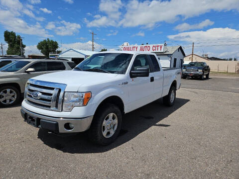 2011 Ford F-150 for sale at Quality Auto City Inc. in Laramie WY