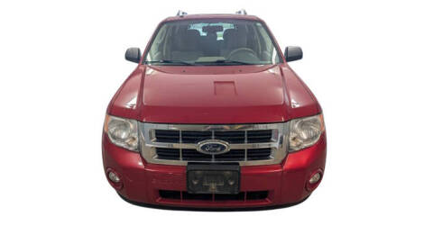 2011 Ford Escape XLT