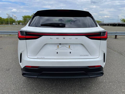 2024 Lexus NX 250