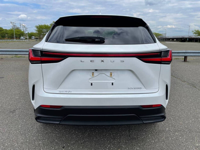 2024 Lexus NX 250