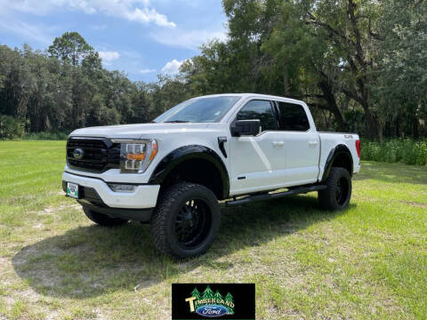2023 Ford F-150 for sale at TIMBERLAND FORD in Perry FL