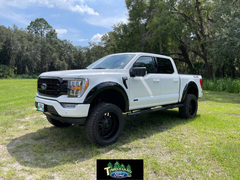 2023 Ford F-150 for sale at TIMBERLAND FORD in Perry FL