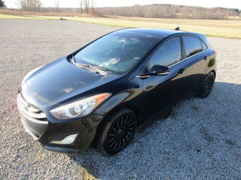 2013 Hyundai Elantra GT for sale at WESTERN RESERVE AUTO SALES in Beloit OH