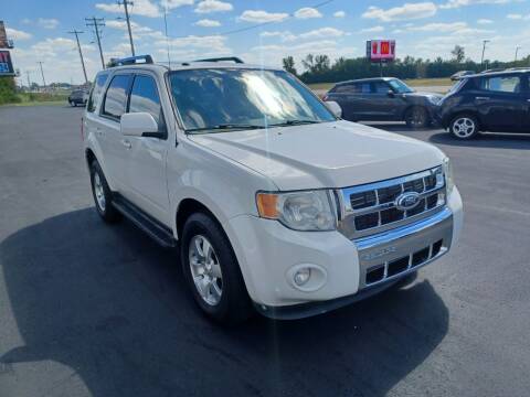 2009 Ford Escape for sale at Caps Cars Of Taylorville in Taylorville IL