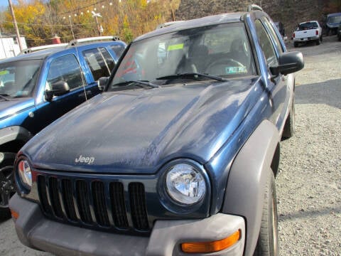 2004 Jeep Liberty for sale at FERNWOOD AUTO SALES in Nicholson PA