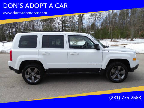 2015 Jeep Patriot for sale at DON'S ADOPT A CAR in Cadillac MI