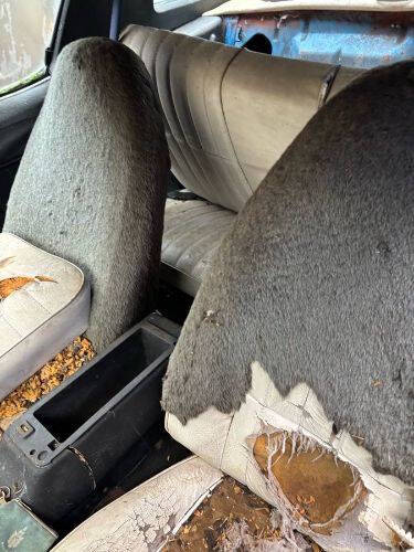1978 Chevrolet Camaro