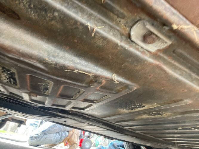 1966 Volkswagen Beetle