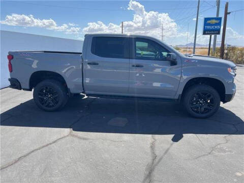 2024 Chevrolet Silverado 1500 for sale at Bradley Chevrolet Parker in Parker AZ