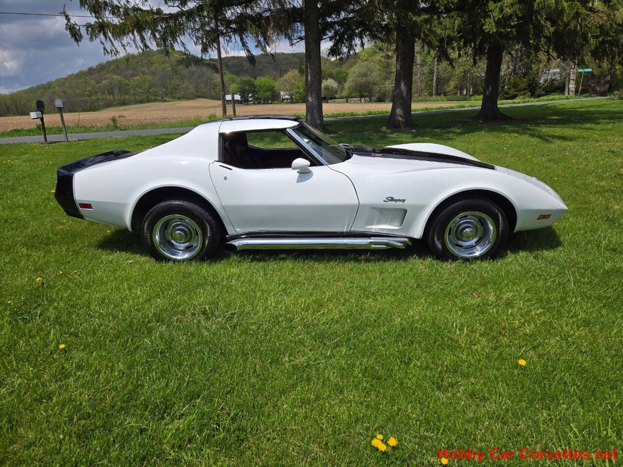 1976 Chevrolet Corvette 6