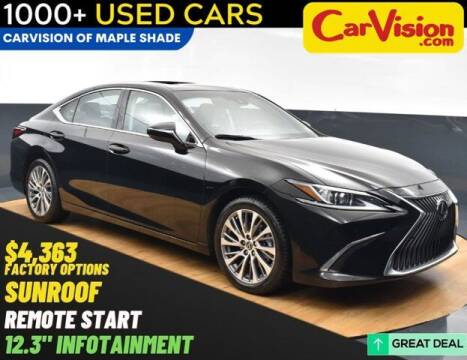 2019 Lexus ES 350 for sale at Car Vision of Trooper in Norristown PA